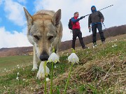 Anello Zuc de Valmana, Canti, Tre Faggi da Fuipiano-17marzo2026-FOTOGALLERY